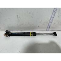 Lexus CT200H Tailgate Struts ZWA10 03/2011-Current
