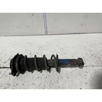Toyota 86 Right Rear Strut Zn6 04/2012-Current