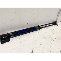 Holden TRAILBLAZER Tailgate Struts RG Pair 07/16-12/20