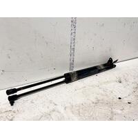 Hyundai ILOAD Tailgate StrutsTQ Pair  11/07-03/21