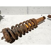 Holden COLORADO Right Front Strut RG 2WD 01/12-06/16