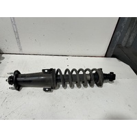 Lexus IS250 Left Rear Strut GSE20 08/2008-12/2014