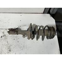 Toyota Avalon Left Front Strut MCX10 07/2000-06/2005