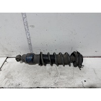 Subaru Outback Right Rear Strut 5th Gen 05/2009-11/2014