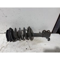 Toyota Corolla Left Front Strut AE112 10/1998-11/2001