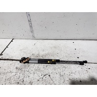Lexus CT200H Tailgate Struts ZWA10 03/2011-10/2022