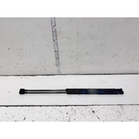 Volkswagen Beetle Tailgate Struts 9C 01/2000-09/2005