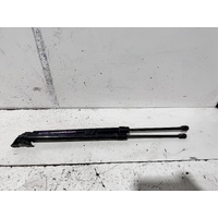Hyundai ILOAD Tailgate Struts TQ 11/2007-03/2021