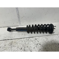 Great Wall Cannon Left Front Strut NPW NPW 09/2020-2026