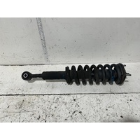 Great Wall Cannon Right Front Strut NPW 09/2020-2026