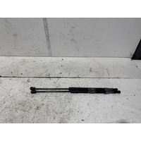 Ford Ranger Tailgate Struts PX II 07/2011-04/2022