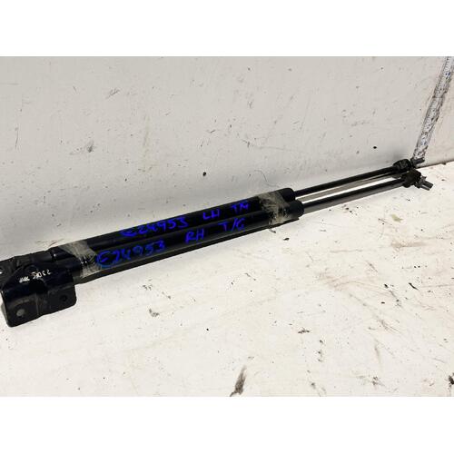 Holden TRAILBLAZER Tailgate Struts RG Pair 07/16-12/20