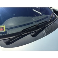 Wiper Assembly